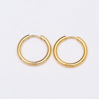 Oorbellen stainless steel GOUD - E60524016250