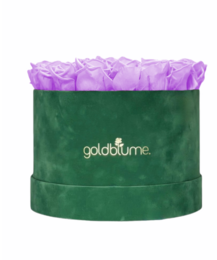 Colección Terciopelo Verde
