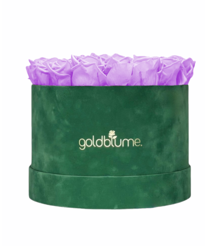 Colección Terciopelo Verde
