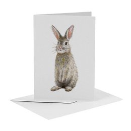 10 biglietti d'auguri con animali olandesi, busta inclusa - dipinti a mano da Mies to Go - cartolina - formato A6