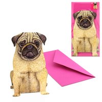 3D animal map pug