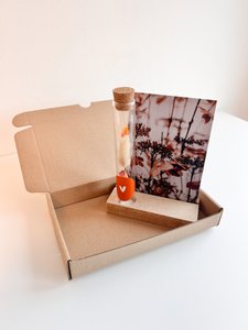 Giftbox droogbloemen