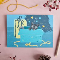 Weihnachtskarte Katze im Karton