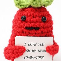 R-H2.2 T2405-099 Positive Tomato 7cm