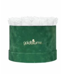 Colección Terciopelo Verde