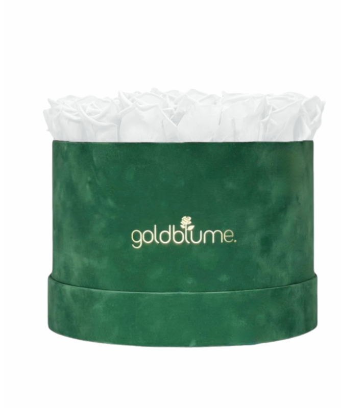 Colección Terciopelo Verde