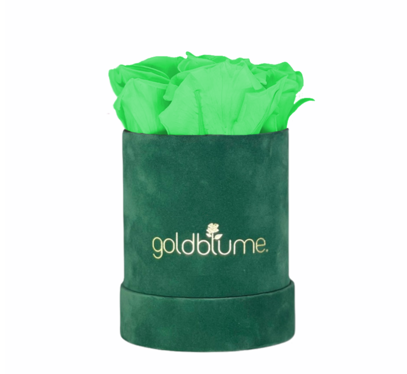 Colección Terciopelo Verde