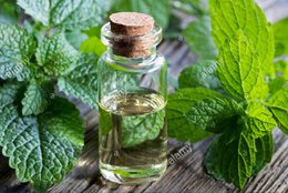Natural Unrefined Sea Salt with Lemon Balm