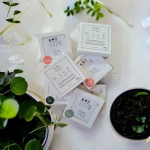 Samen, wachsen und essen | Essbare Blüten (NEU ♥ Briefkastenfeste Verpackung)