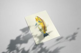 Gul fisk