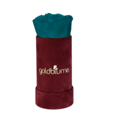 Velvet Bordeaux Collection