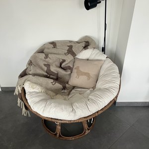 Dachshund / Teckel Plaid / deken 100% maagdelijke wol / 2SIDED