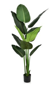 JUNGLE Kunstblume im Topf H:160cm