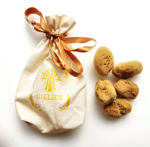 Make up removal and application sea sponge, set of 5