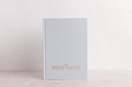 LSW Mind Notes