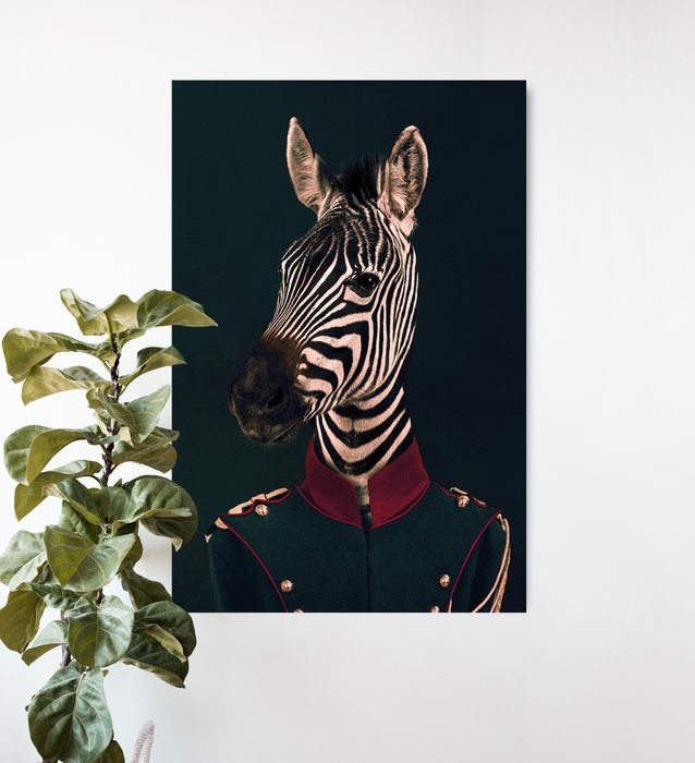 Military Zebra