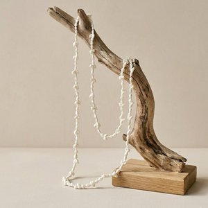 Shell necklace
