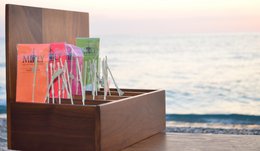 MΩLY "Detox" – Té de hierbas HoReCa con tallo de hierbas naturales