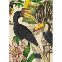 Wall- Art | Tucan Jungle