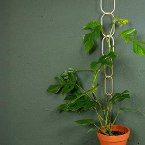 Gold Brass Chain - Plantsteun voor klimplanten