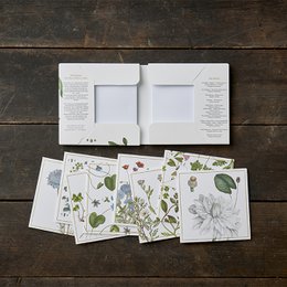 The Flora Danica Atlas - Wild plants - Square card folder