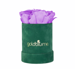 Colección Terciopelo Verde