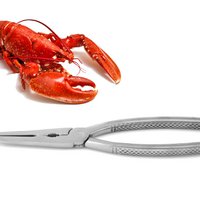 Hummerzange aus Edelsahl, satiniert
