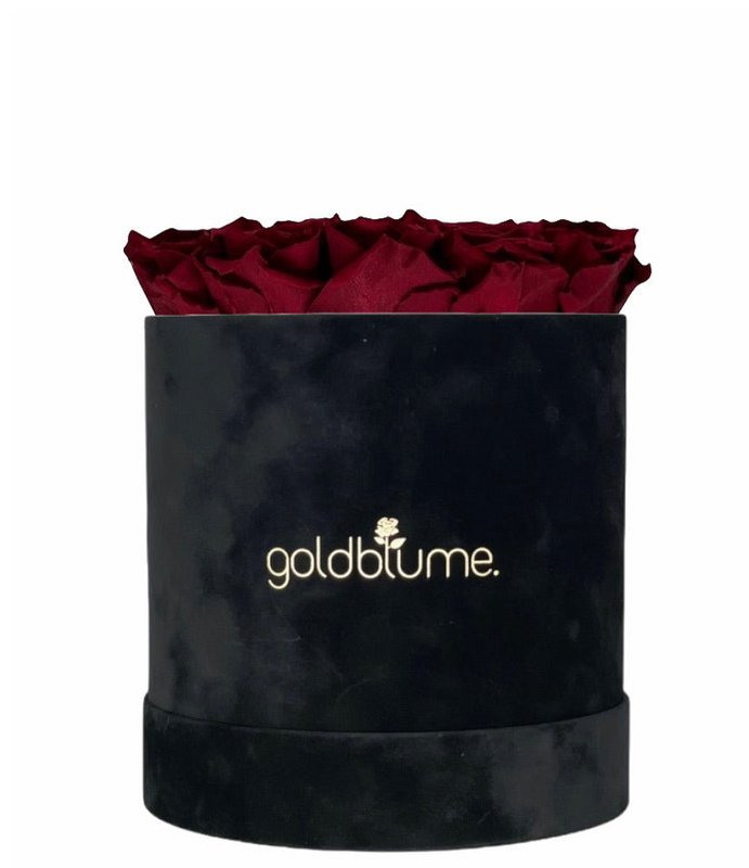 Velvet Black Collection