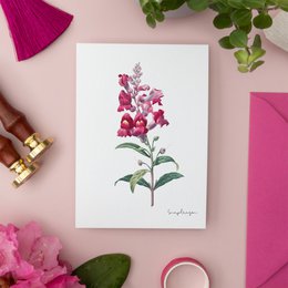 Pink Pack - Handgemachte Postkarten A6 mit Umschlag - Botanical Vintage