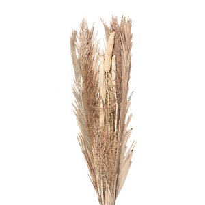 Droogbloemen 25x8x100 cm