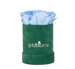 Colección Terciopelo Verde