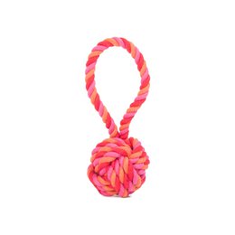 Colorful rope toy for dogs, featuring a twisted rope in shades of pink, red, and orange, with a knotted ball at the end. Suitable for small to medium-sized dogs to play with and chew on.