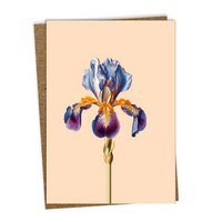 Greeting card Leporello Iris