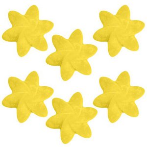 Big Pack Nat-Wax Melts - Japanese Magnolia