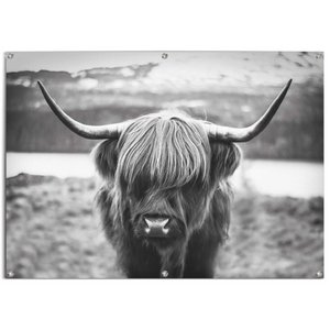 Gartenposter Gartenposter Schottischer Highlander 100x140