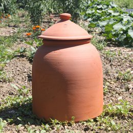 Large terracotta pot with lid, ideal for growing rhubarb.
