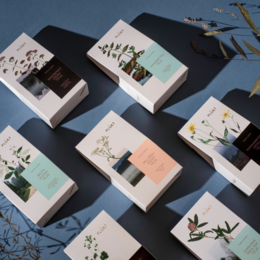 Lady's Mantle Tea - tè sfuso