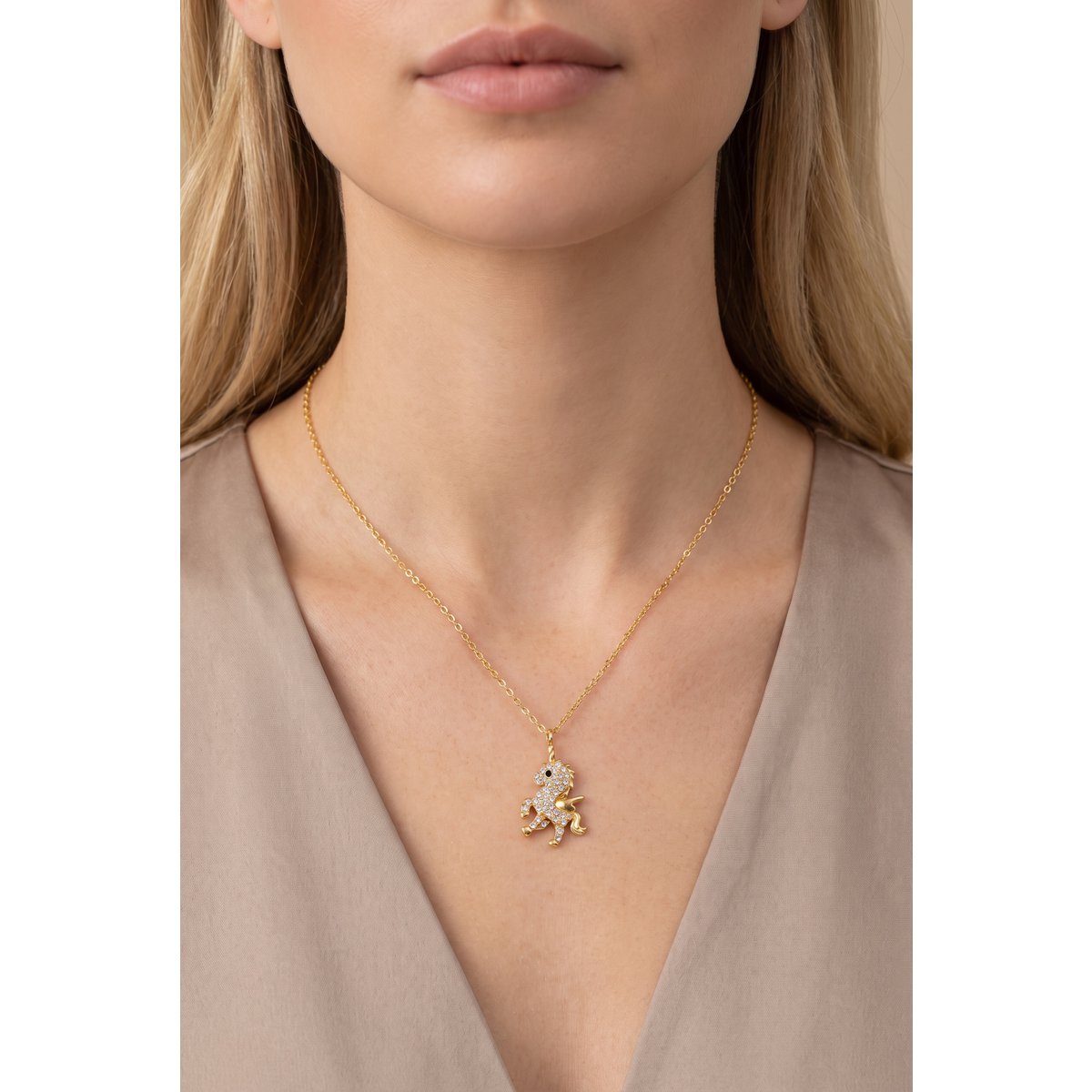 Collier en acier inoxydable