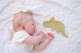 Crinkle-speelgoed - Triceratops