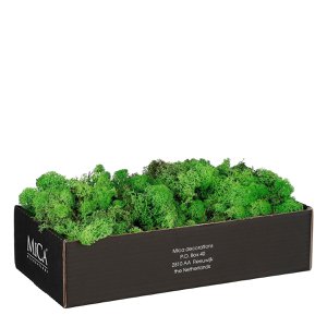Decoratiemos Mossy Groen