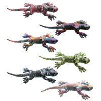 Frill Neck Eidechse Großes Sandtier