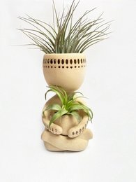 Decorative ceramic planter with air plant and succulent. Tan and gold color scheme, round shape with textured pattern. Suitable for indoor or outdoor display.