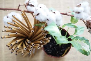 Set mit 10 wiederverwendbaren langen Strohhalmen