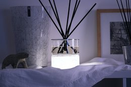 ICE KASHMIR Dual & Led : Coriander, Amber & Patchouli