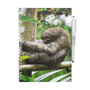 Erasable Notebook A5 - Furry Sloth