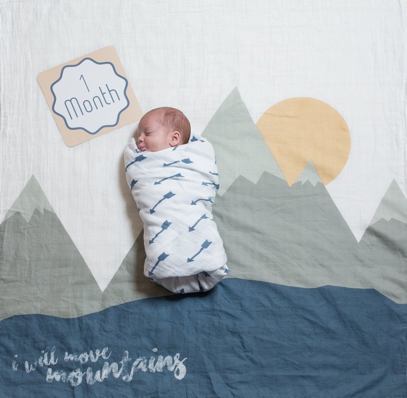 Lulujo Baby's First Year - I will move mountains