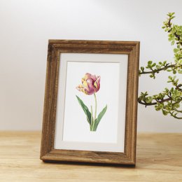 Botaniczny Art Print Mix x16 | Vintage ilustracja kwiat | Dekoracje ścienne