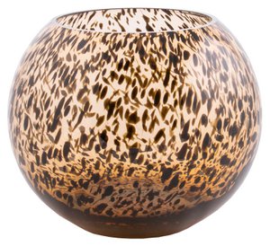 Vaas - Zambezi cheetah