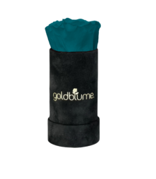 Velvet Black Collection