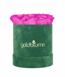 Colección Terciopelo Verde